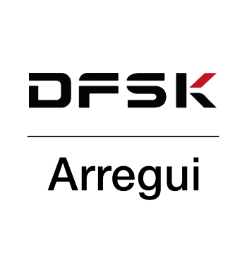 DFSK logo
